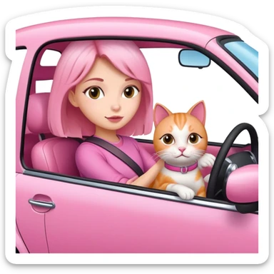 Girl driving a pink car with her cat sticker
