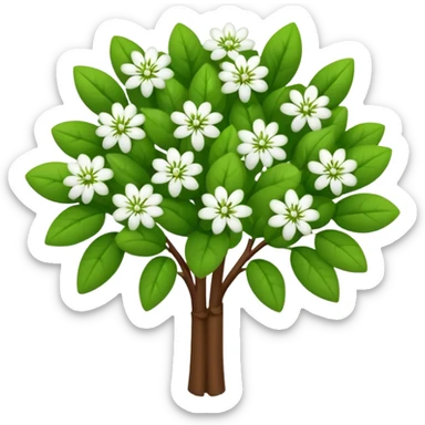 A small bush with round leaves and tiny budding flowers.









































 sticker