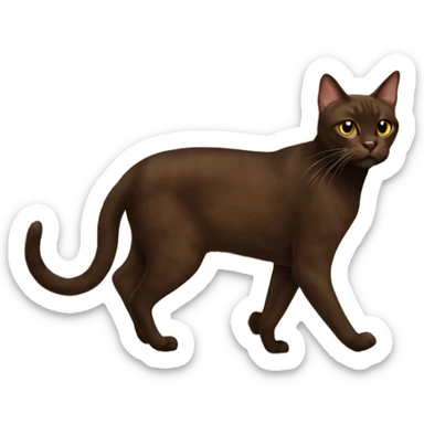 Havana brown cat walking  sticker