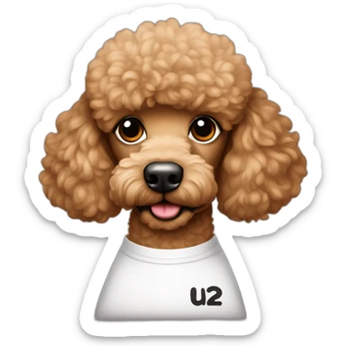 Light brown poodle wearing a t-shirt with the text U2 sticker