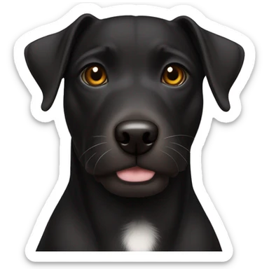A black Patterdale Terrier dog with a white patch on its chest and brown eyes.  sticker