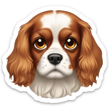 Cavalier King Charles spaniel with a spot on his forehead sticker