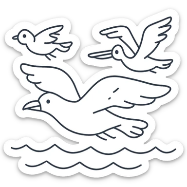 Cartoon coloring book for children. Fly over the sea birds of various species. Black and white line vector illustration. sticker