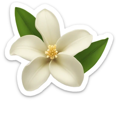 Vanilla flower  sticker