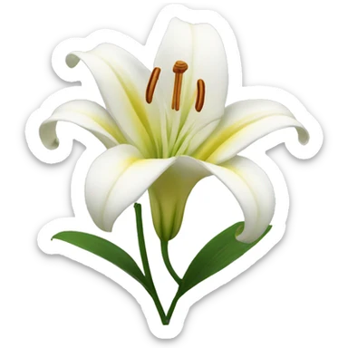 Lily flower  sticker