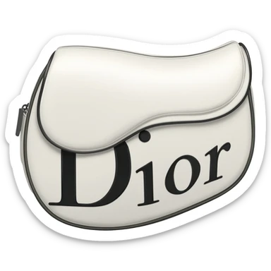 white dior printed saddle bag sticker