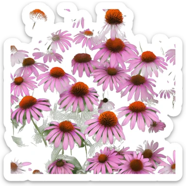 echinacea sticker