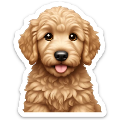 Mini golden doodle puppy  sticker