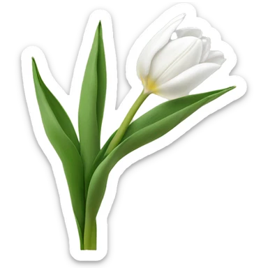 white tulips sticker