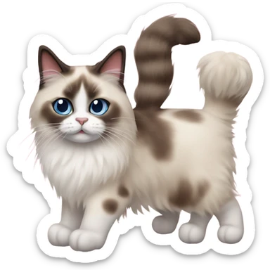 Two Ragdoll cats sticker