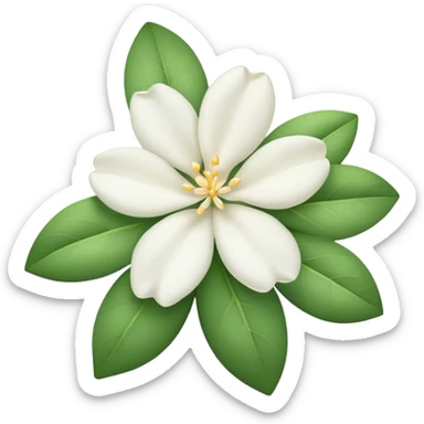 Jasmine Flower sticker
