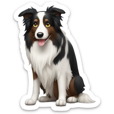 Border collie with beautiful long hair sticker