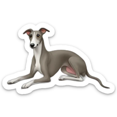 greyhound-sliding-off-bed sticker