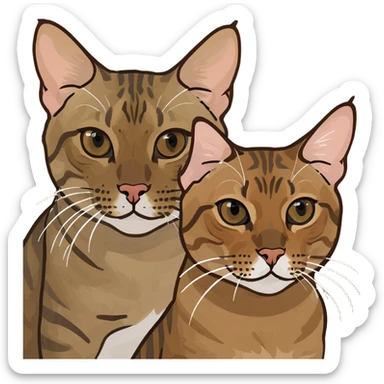 Two bengal cats brown sticker