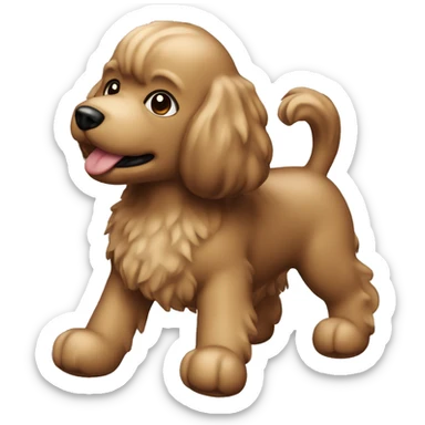 Dog caniche toy marron sticker