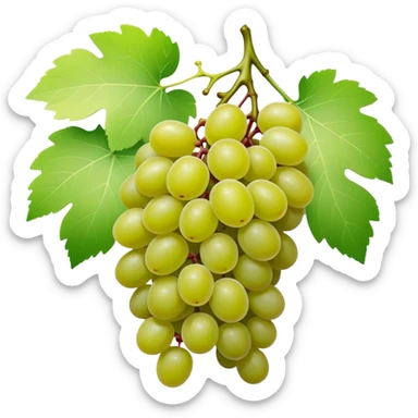 matcha colored grapes with matcha pastel colored leaves sticker