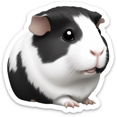 guinea pig black and white sticker