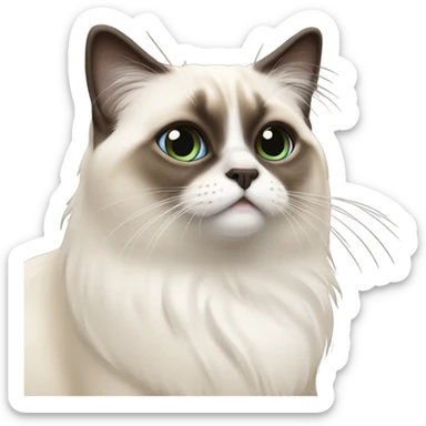 Birman cat sticker