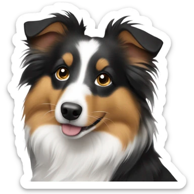 mini Australian shephard sheltie mix  sticker