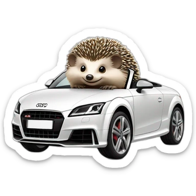 Hedgehog driving a audi TT car sticker