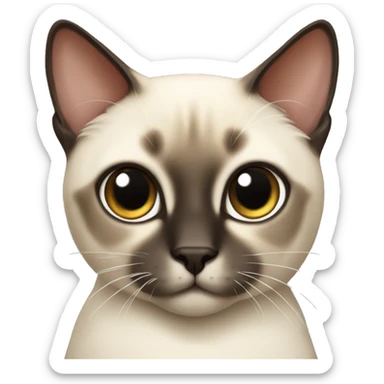 Cat siamese  sticker