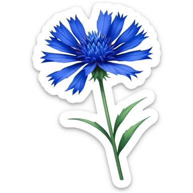 single blue Cornflower, straight stem sticker