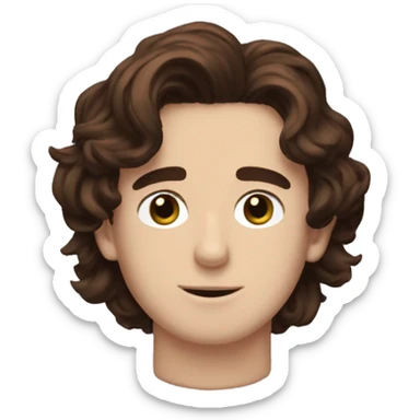 timothee chalamet with brown hair  sticker