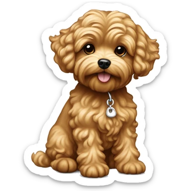 Caramel maltipoo dog isn’t so wavy  sticker