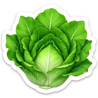 lettuce, not flower shaped, normal shaped sticker