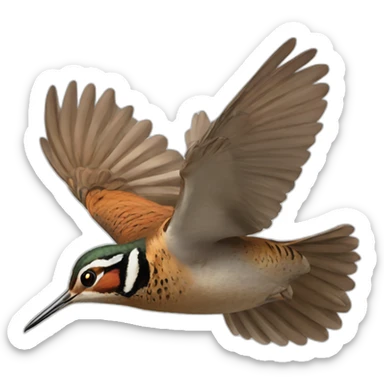 woodcock flying sticker