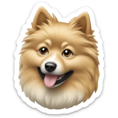 Spitz à poile beige et noir mélangé  sticker
