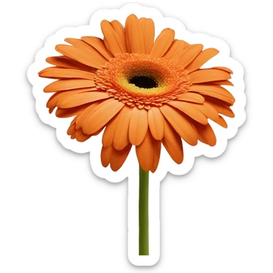 orange one flower gerbera sticker