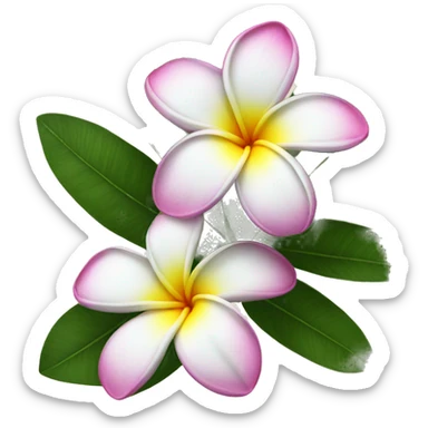 plumeria flower sticker