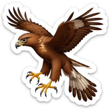 Hawk sticker