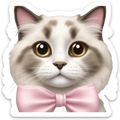 Cute Realistic ragdoll cat with pale pink bow sticker