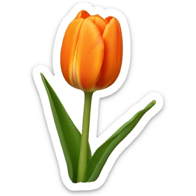 Orange tulip  sticker