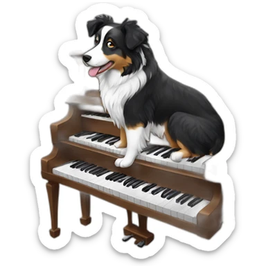 Black and white Australian shepherd playing a child’s piano sticker