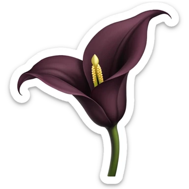 Black color, Black star Calla lily sticker