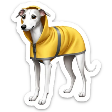 whippet with raincoat sticker