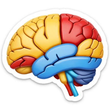 cerebro visto desde arriba con pintura sticker