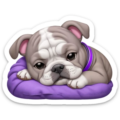 gray bulldog puppy sleeping with a purple collar on sticker