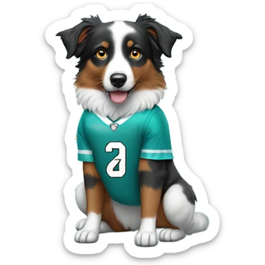Mini Australian shepherd wearing a Dolphins jersey sticker