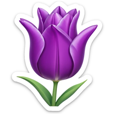 tulip purple sticker
