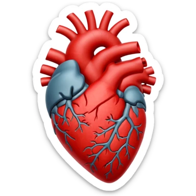 anatomical hear sticker