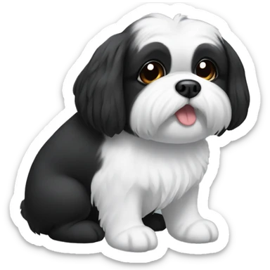 Black Shitzu dog with a white belly and mouth sticker