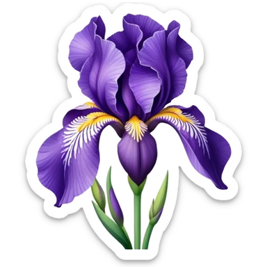 iris flower sticker
