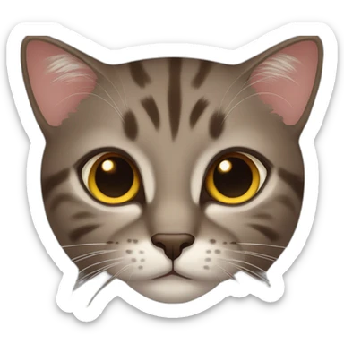 european cat dark brown eyes sticker
