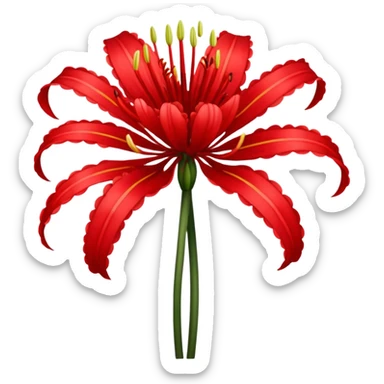 Lycoris Radiata red spider lily flower sticker