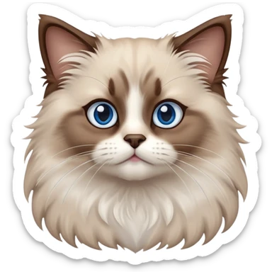 cinematic-fluffy-brown-ragdoll-cat-portrait-emoji,-head-tilted-cutely-with-big,-sparkling-blue-eyes,-soft-brown-and white-colored-fur-with-darker-points-on-the-ears,-face,-and-paws,-simplified-yet-irresistibly-adorable-features, sticker
