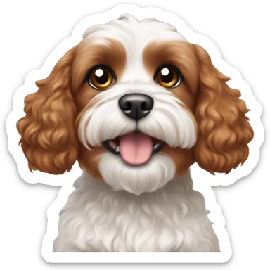 Cavoodle red brown fur with black eyes and white belly and paws sticker